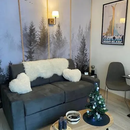 Apartman Le Brevent Studio De Charme Au Pied Des Pistes Chamonix