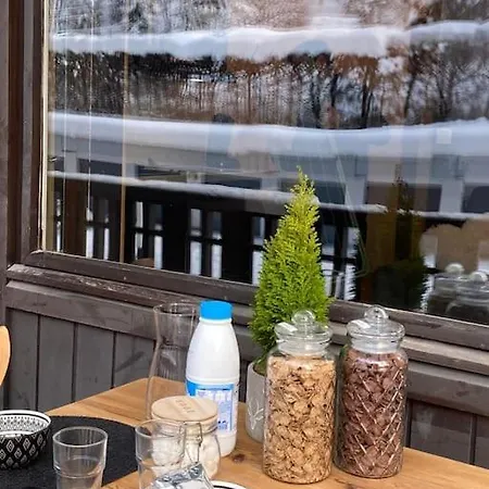 Le Brevent Studio De Charme Au Pied Des Pistes * Chamonix